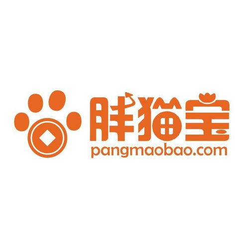 上海筆金網絡科技 引領未來的網絡技術咨詢專家